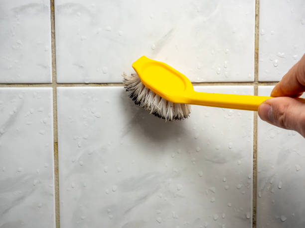 Best Black Mold Removal  in Friedens, PA