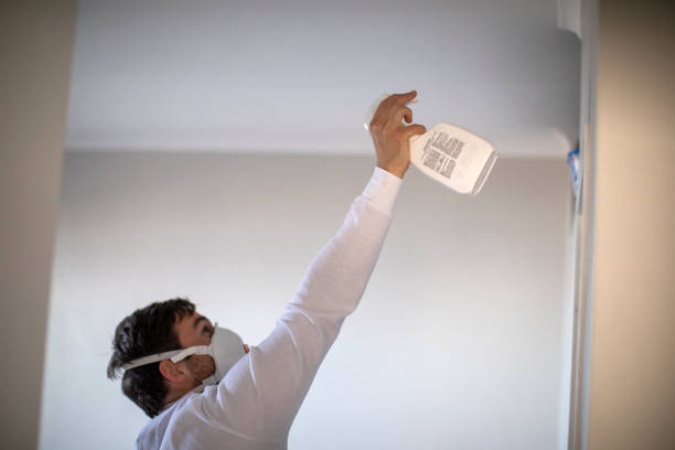 Best Toxic Mold Removal  in Friedens, PA