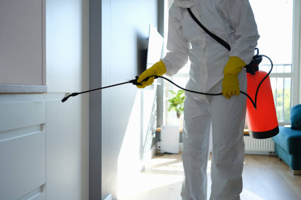 Attic Mold Removal in Friedens, PA